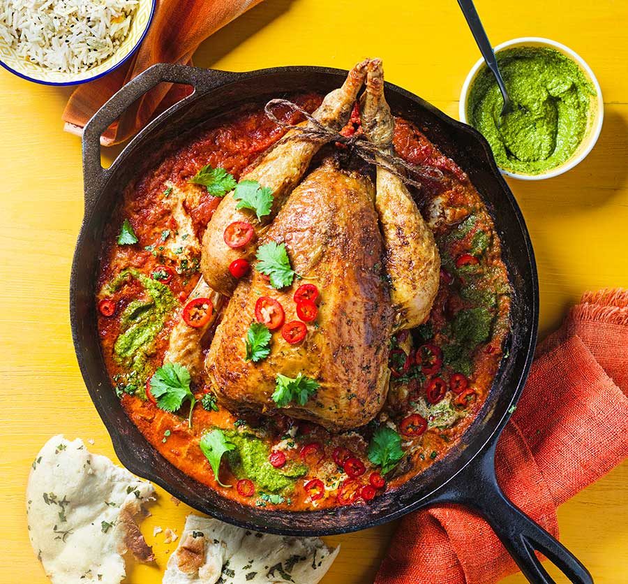 gà đá của mỹ gà đá của mỹ