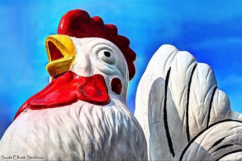 xem đá gà thomo mới nhất xem đá gà thomo mới nhất