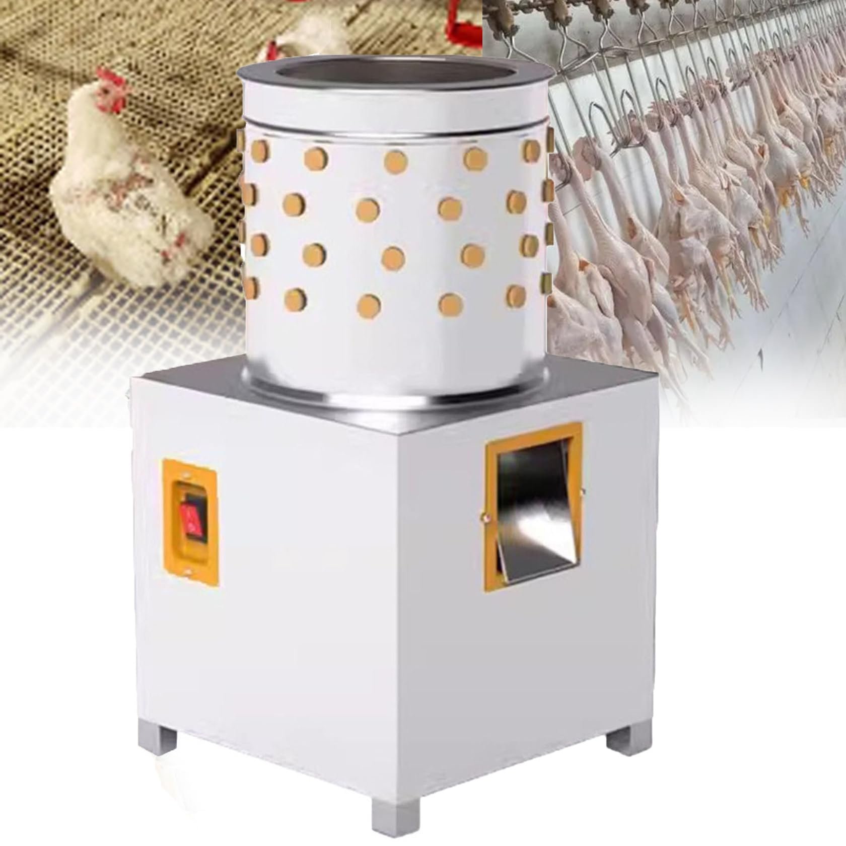 thuốc trị gà đá u dau thuốc trị gà đá u dau