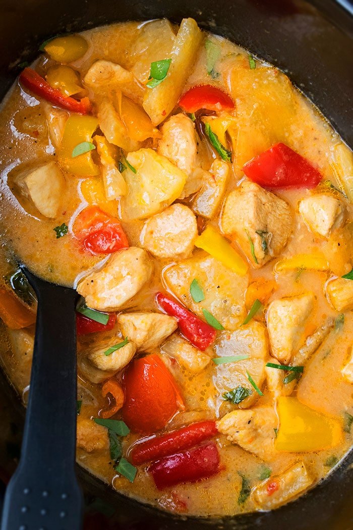 gà mái đá cựa sắt