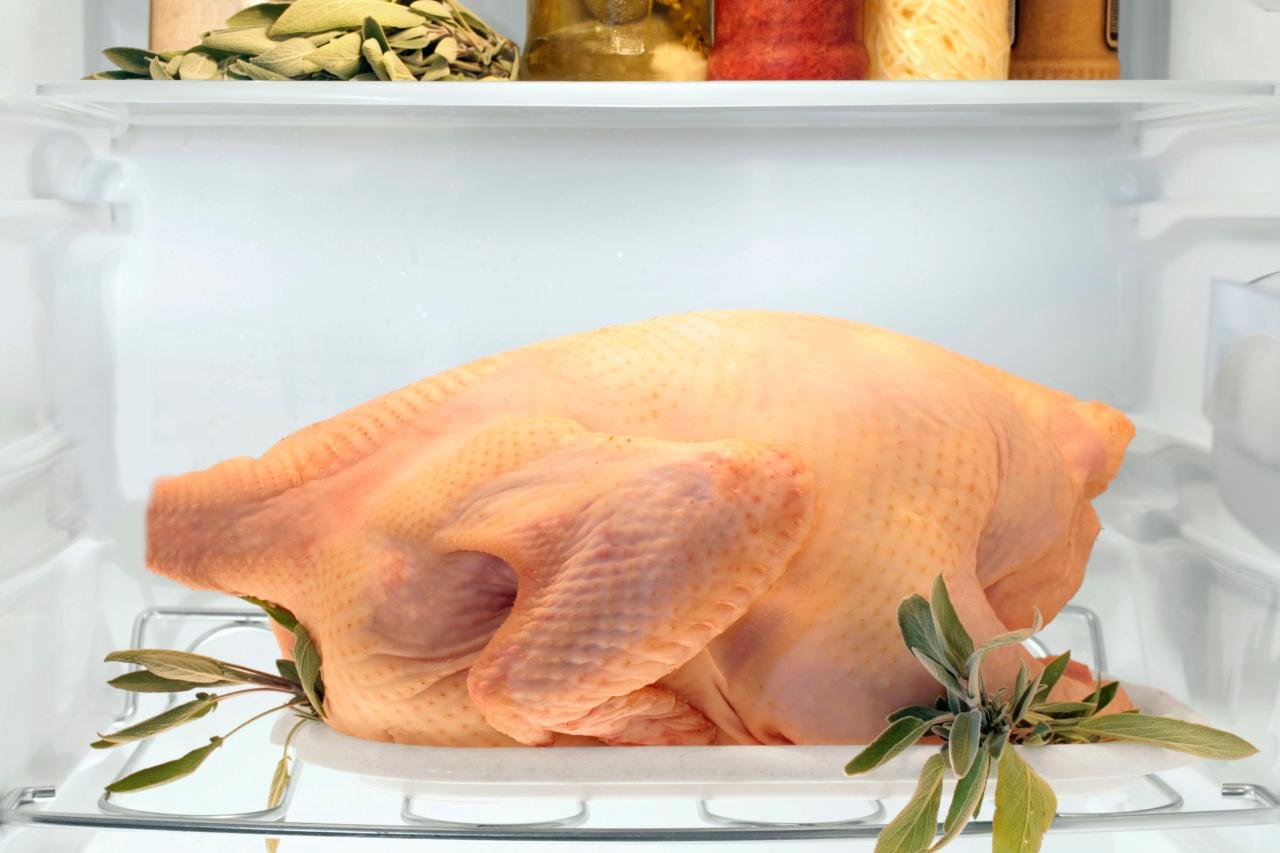 đá gà thomo ngày hôm nay trực tiếp đá gà thomo ngày hôm nay trực tiếp