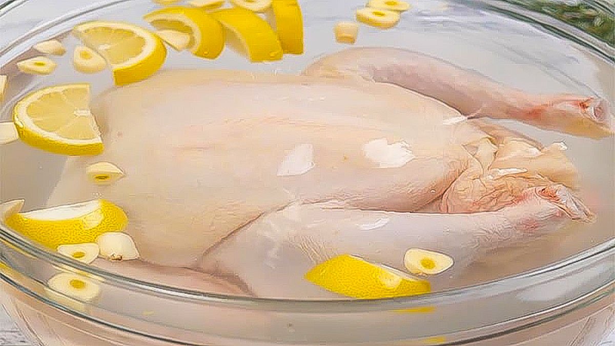 đá gà thomo ngày 5 tháng 12 năm 2019 đá gà thomo ngày 5 tháng 12 năm 2019