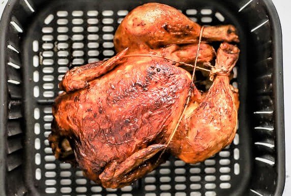 màu lông gà đá cựa sắt,Màu lông gà đá cựa sắt: Thứ hai cho tiêu đề bài viết màu lông gà đá cựa sắt,Màu lông gà đá cựa sắt: Thứ hai cho tiêu đề bài viết