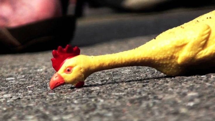 đá gà đồng tháp mới nhất đá gà đồng tháp mới nhất