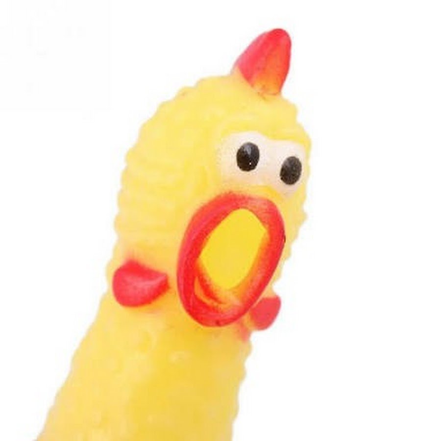 đá gà cựa sắt cao lãnh