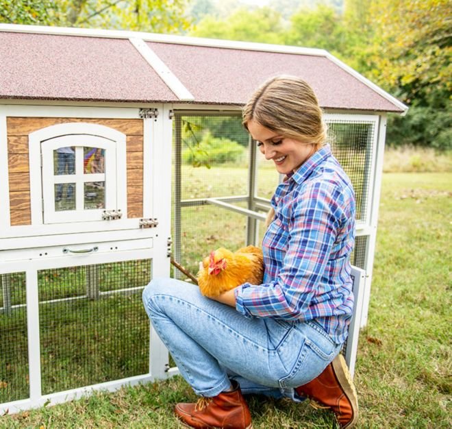 thức ăn gà đá,Thức ăn gà đá – Đặc sản ẩm thực độc đáo thức ăn gà đá,Thức ăn gà đá – Đặc sản ẩm thực độc đáo