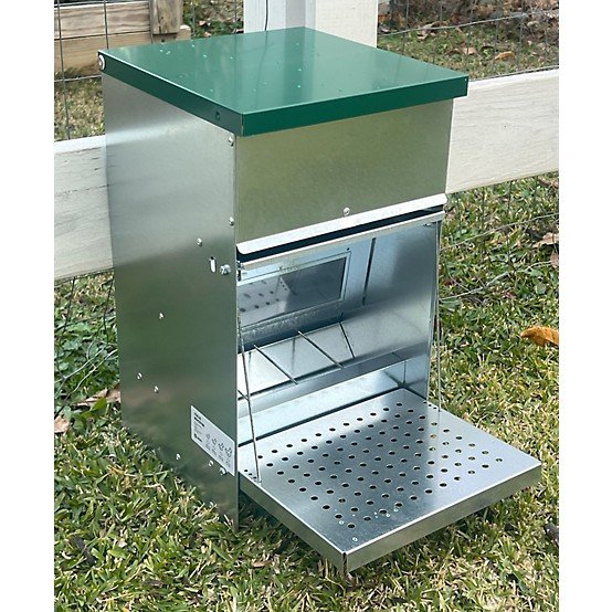 mua bán gà đá cựa sắt mua bán gà đá cựa sắt