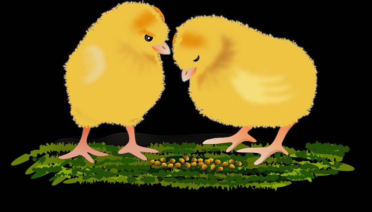 trại gà đá hưng cần thơ mới nhất,Trại gà đá Hưng Cần Thơ mới nhất: Điểm đến không thể bỏ lỡ trại gà đá hưng cần thơ mới nhất,Trại gà đá Hưng Cần Thơ mới nhất: Điểm đến không thể bỏ lỡ