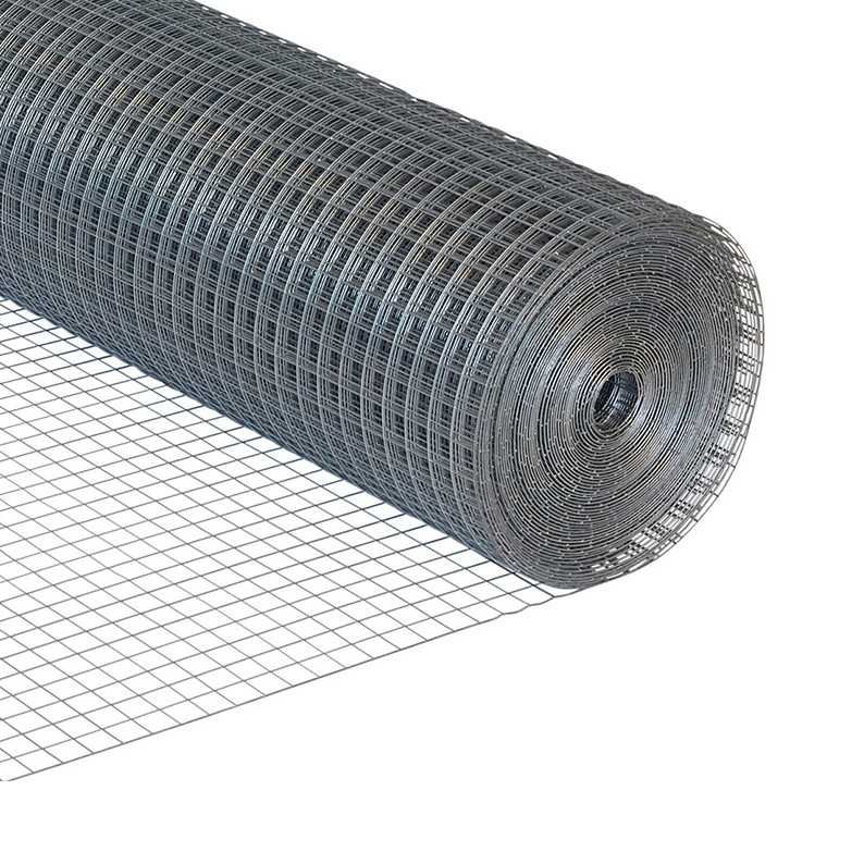 trực tiếp gà đá thomo,Phát Triển Công Cụ Điều Chỉnh Gen Dựa Trên Sugar-Base Editing Trong Rau Cây trực tiếp gà đá thomo,Phát Triển Công Cụ Điều Chỉnh Gen Dựa Trên Sugar-Base Editing Trong Rau Cây