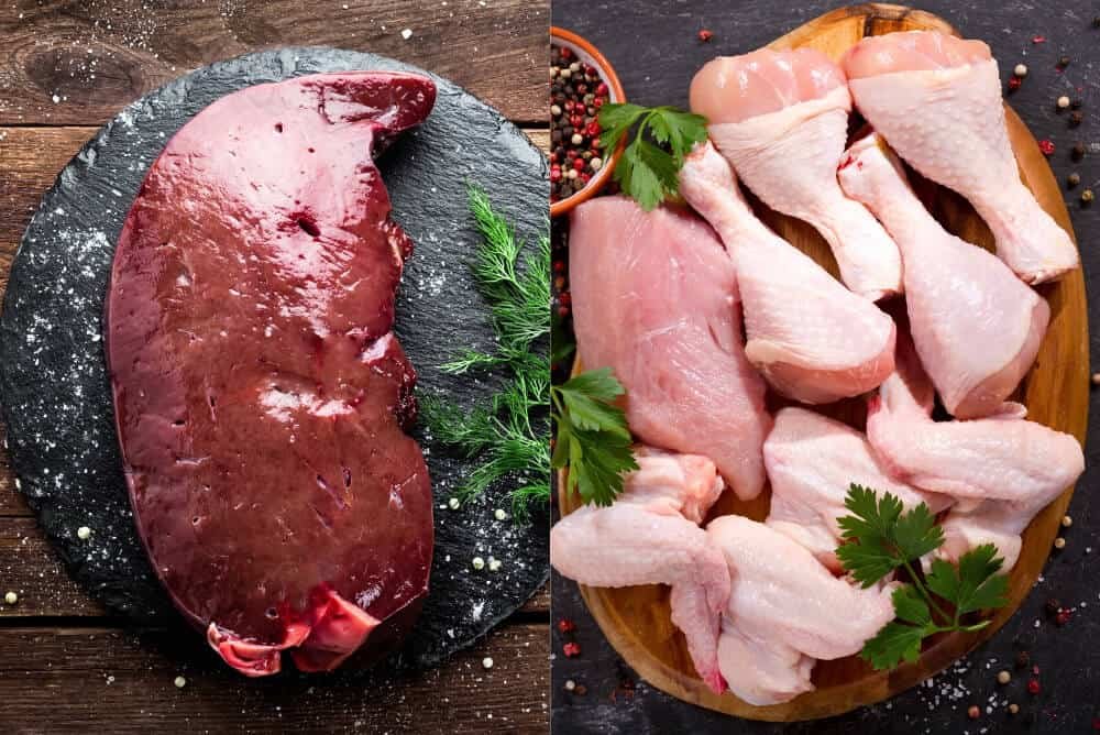 đá gà trực tiếp thomo hôm qua đá gà trực tiếp thomo hôm qua