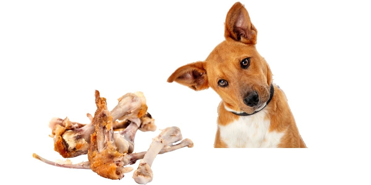 gà xám đá ngày nào tốt,Giải Đá Bóng Thứ Hai: Những Lưu Ý Cần Biết gà xám đá ngày nào tốt,Giải Đá Bóng Thứ Hai: Những Lưu Ý Cần Biết