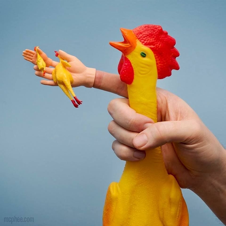 Trải Nghiệm Đá Gà Sôi Động Bình Định Hôm Nay