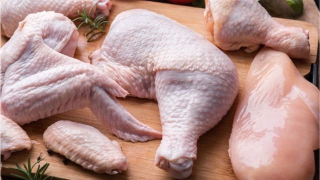 Phương pháp phục hồi nhanh chóng cho gà đá bị tổn thương cánh